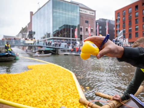 “Het zou een droom zijn om zondag alle vijfduizend eendjes samen te water te laten”: Duckrace steunt zondag drie goede doelen