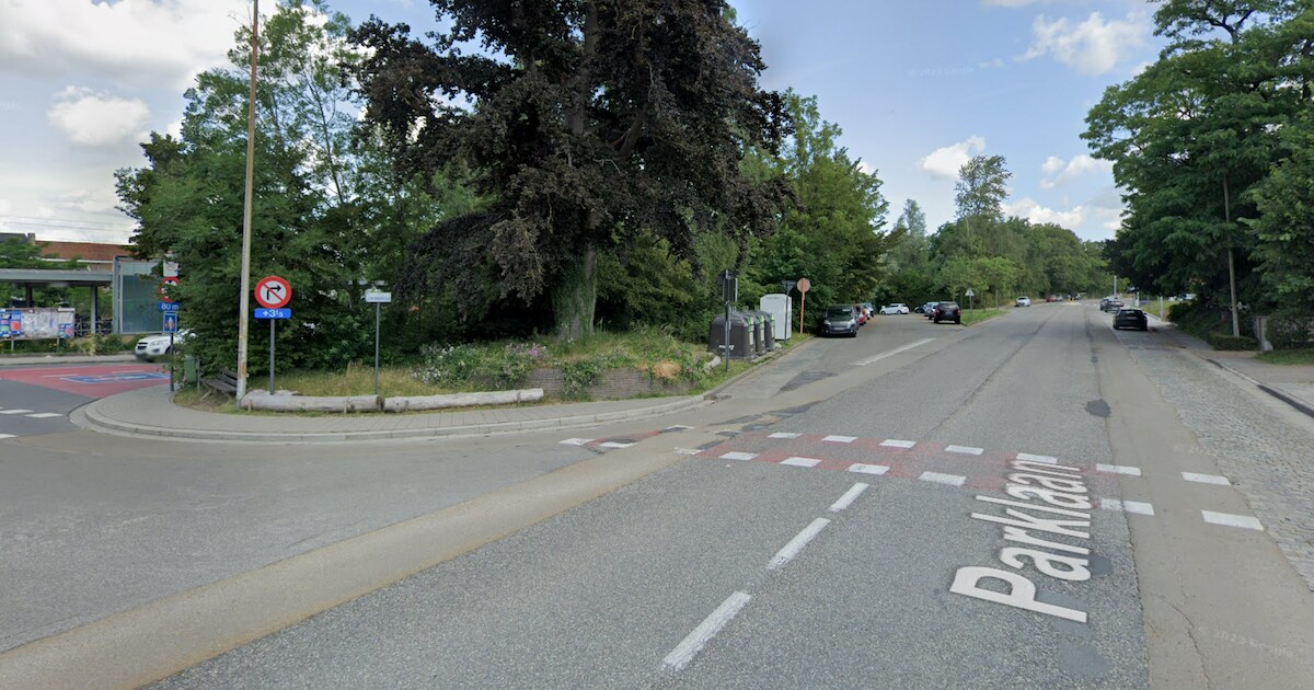 Vandalen zetten verkeersborden midden op straat in Parklaan