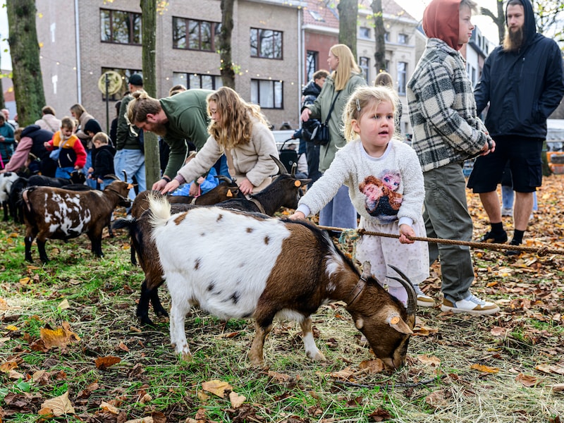Nielse jaarmarkt blijft op maandag: “Twee scholen in eventzone blijven dicht om veiligheidsredenen”