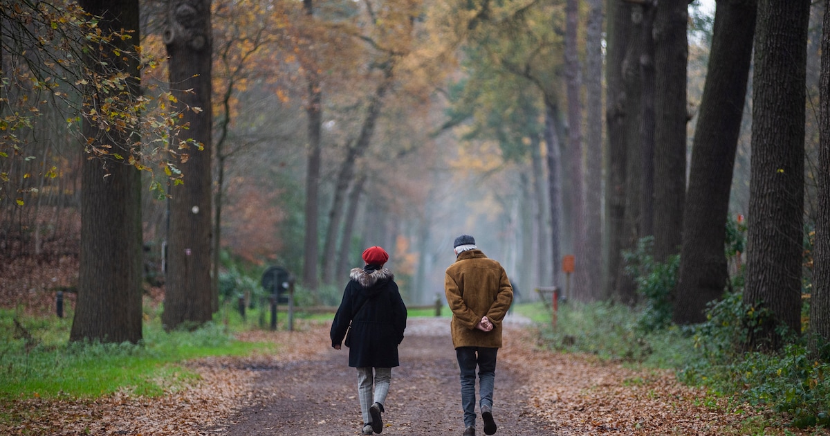 Trek je wandelschoenen aan voor de Wandelmeedag in Stabroek op 11 ...