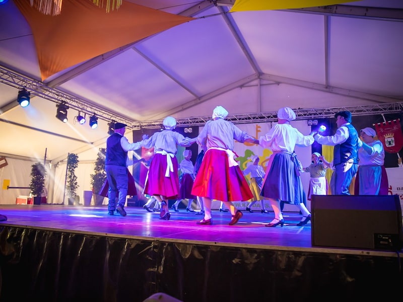 Volksdansgroep Danspas Wijnendale viert 15 jaar met open lessen in Torhout