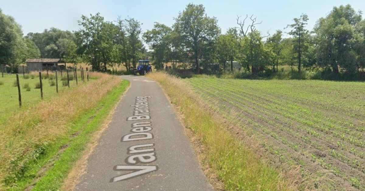 Putte verwerft 26.000 m² grond: veilige groene verbinding en toegang tot Peultenbossen verzekerd
