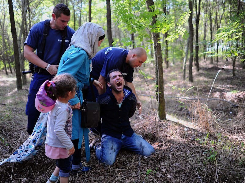 De vader van een migrantengezin wordt nabij de Hongaars-Servische grens gearresteerd, in augustus 2015.