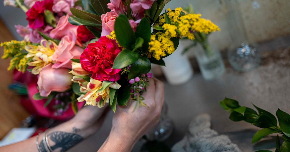 Winnaars eindejaarsactie Schelle hebben nog enkele dagen om prijs op te halen