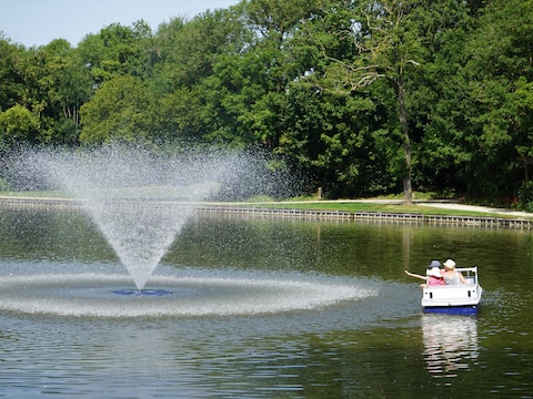De vijver in het Maria-Hendrikapark.
