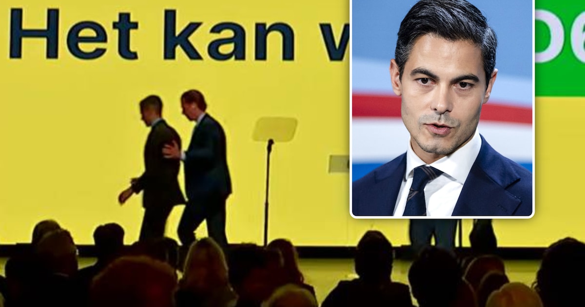 Pro-Palestijnse demonstranten verstoren D66-congres: Nederlandse ...