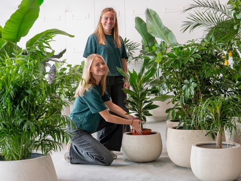 Pop-up Plants Market keert terug naar loods van De Bond in Brugge