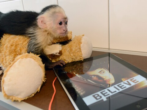 Mally verblijft nog altijd in het opvangcentrum voor dieren in München.