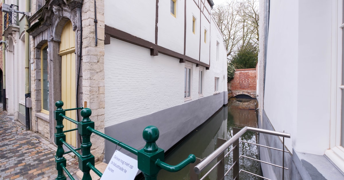 Stad opent waterloop in Sint-Katelijnestraat: “We tellen nu meer dan één kilometer aan vlieten”