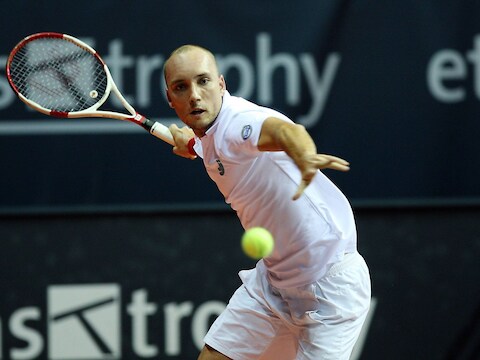 Steve Darcis