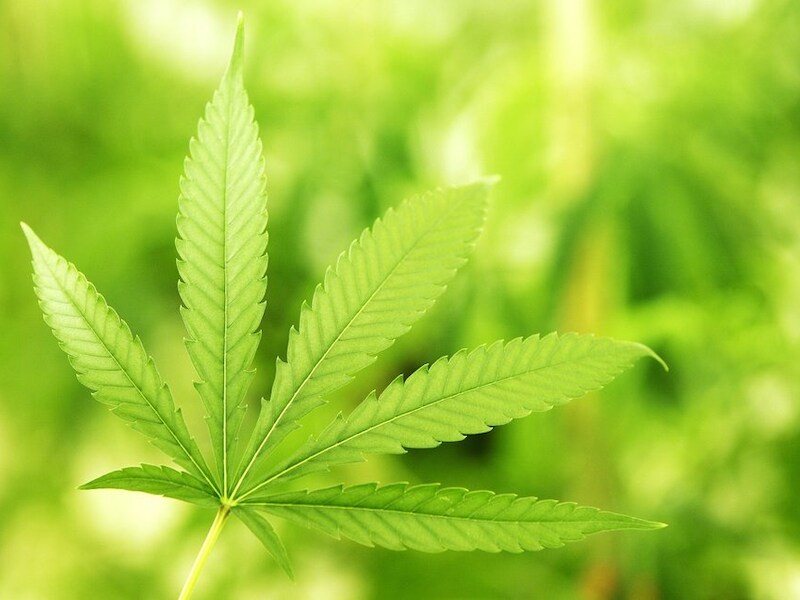 Cannabisboer Geert De Brabander uit Diksmuide zou gunstige vonnissen hebben kunnen regelen.
