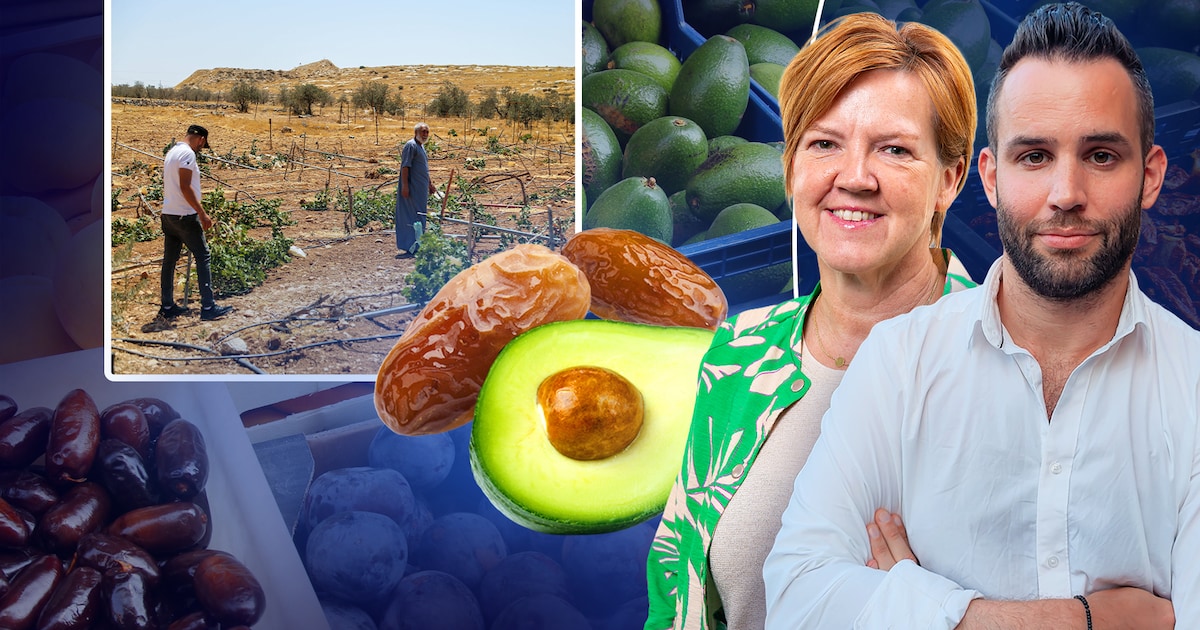 Du jamais vu: België bant producten uit Israëlische bezette gebieden, maar hoe herken je ze?