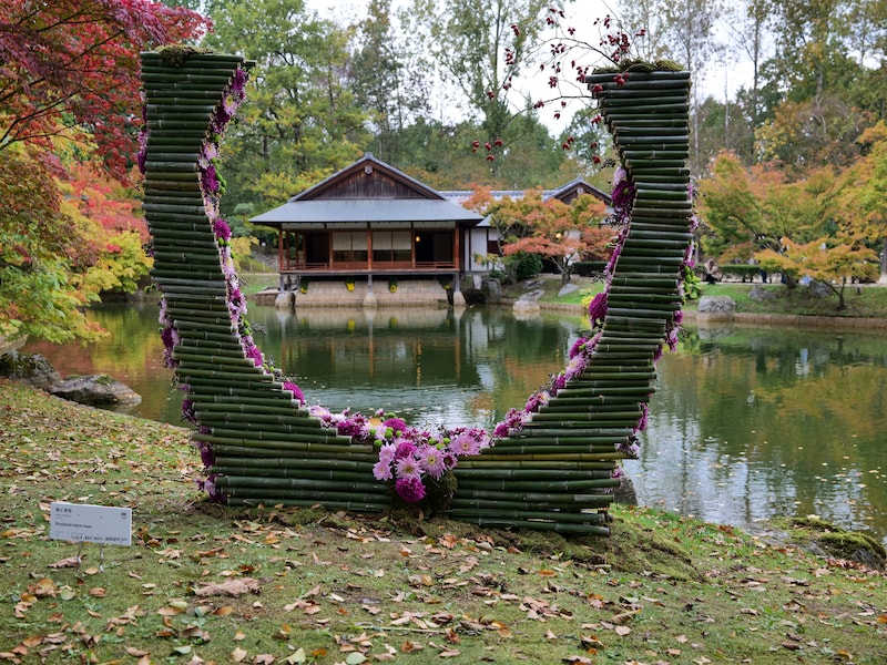 De Japanse tuin is klaar voor het Chrysantenfestival.