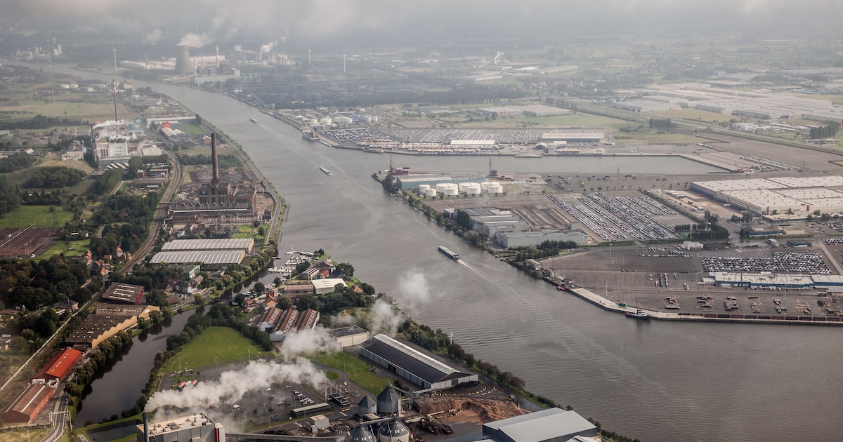 Kanaal Gent-Terneuzen kampt opnieuw met droogte: maximale diepgang van 12,35 meter en zeesluizen dee