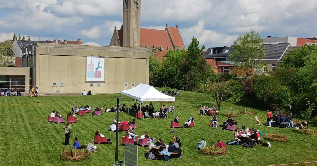 Buitenleesweek bij Campus De Reynaert: leesbars met strandstoelen en ...