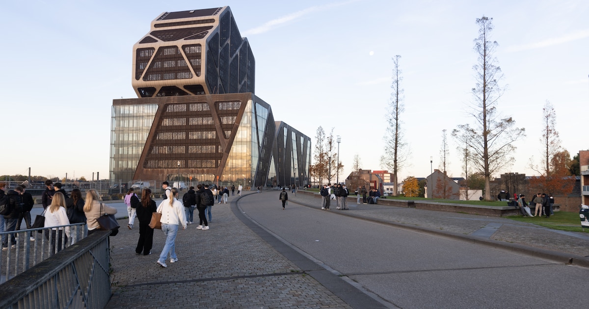 Chaotische verkeerszaak voor politierechter Hasselt: “Ik knipperde alleen met de lichten, zij liegen