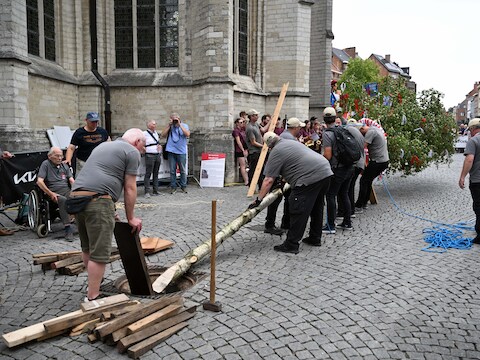 De Mannen van 1979 plantten de boom ruim vóór de gevreesde deadline van 17 uur.