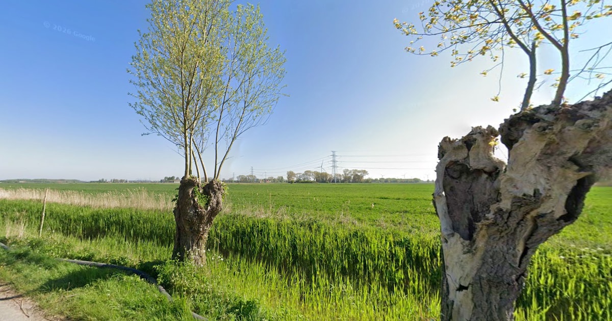 Bouwvoertuig volledig uitgebrand op weide
