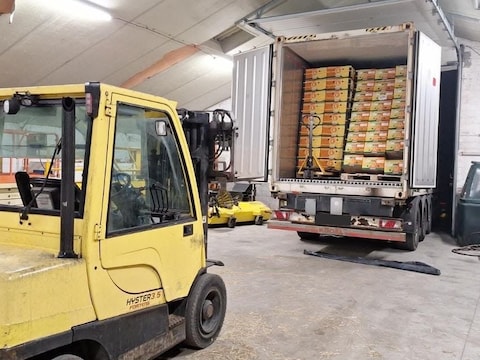 De cocaïne zat verstopt tussen een lading bananen uit Ecuador.