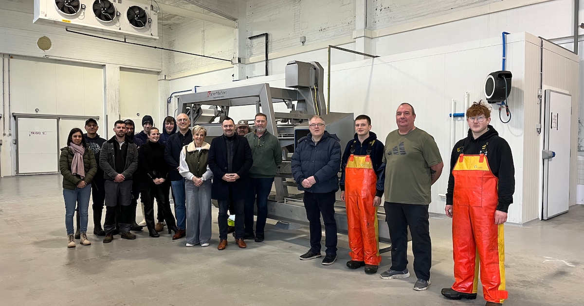 Deze nieuwe machine zeeft tot 5 ton garnalen per uur in Vismijn Nieuwpoort