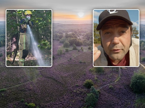 De Mechelse Heide in Maasmechelen staat dezer tijd van het jaar prachtig in bloei. Fotograaf Frank Resseler (inzet rechts) geeft workshops over hoe het landschap te lezen als fotograaf. Inzet links: een brandweerman blust een brand in de Mechelse Heide eerder deze zomer.