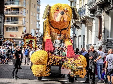 75ste Bloemencorso kan ook rekenen op gevestigde waarden: “Altijd spannend om deadline te halen”