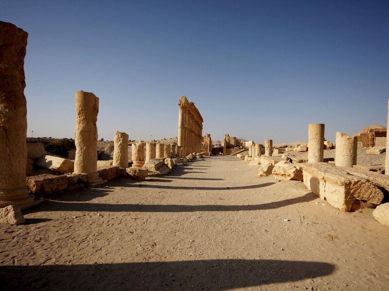 Palmyra