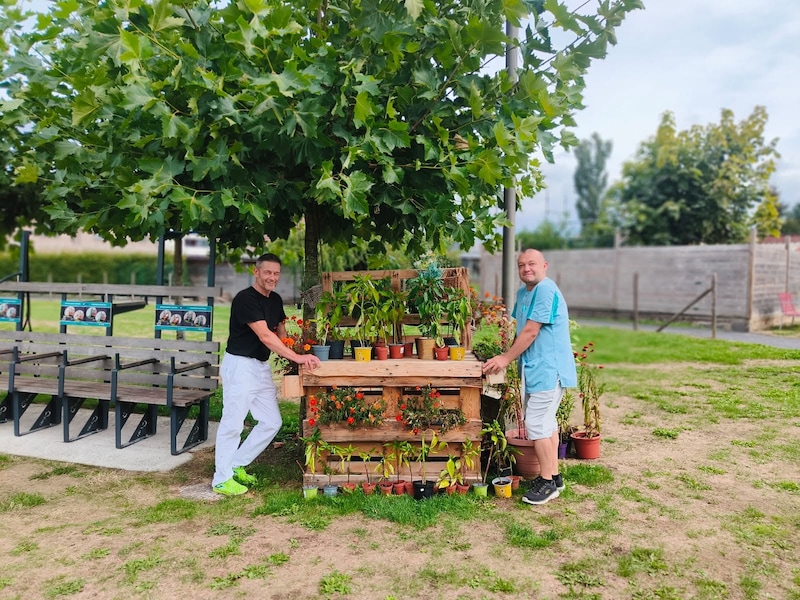 Bewoners bouwen zélf aan pluktuin van wzc Het Prieelshof: “Iedereen kan op zijn manier een steentje bijdragen”
