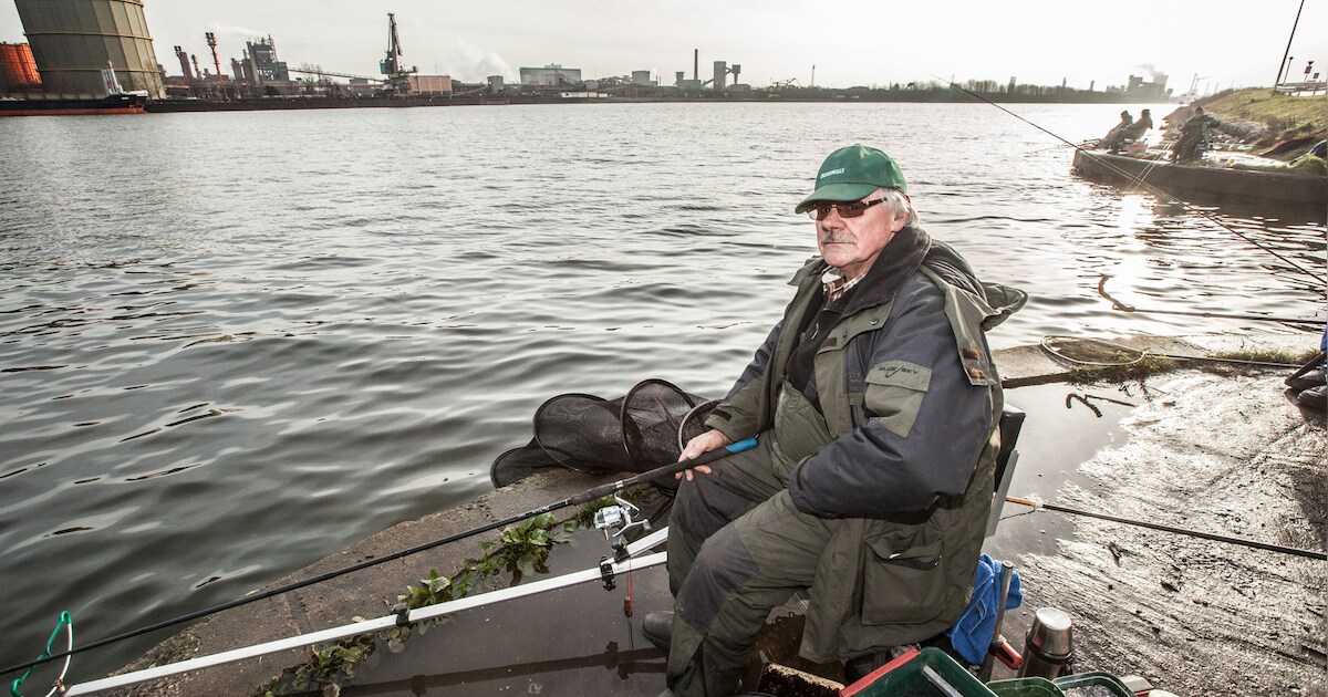 Vissers blijven paling uit vervuild kanaal eten | Regio | HLN.be