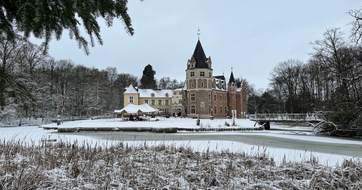 IN BEELD. Sneeuw zorgt voor magische taferelen op kasteeldomein in Oostmalle