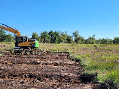 Kwetsbare natte habitats op Groot Schietveld worden hersteld: overwoekerend gras maakt plaats om zeldzame planten kans te geven