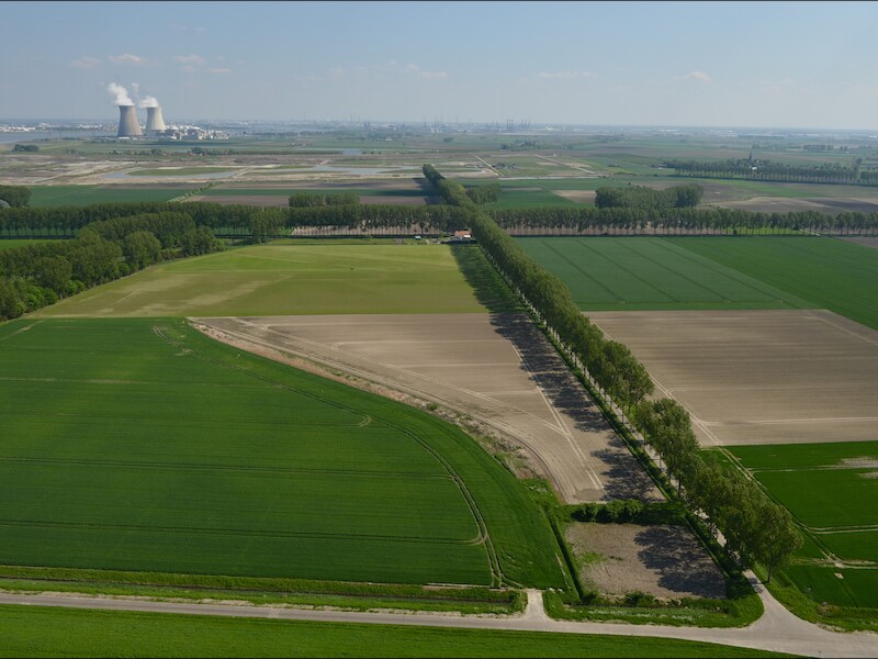 Hertogin Hedwigepolder in Zeeuws-Vlaanderen