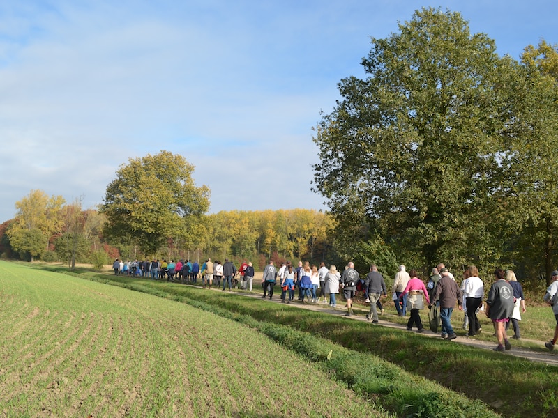Illustratiebeeld tragewegenwandeling