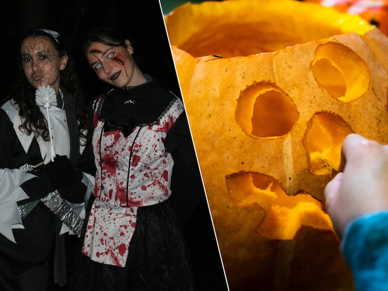 Van een halloweentocht tot een pompoen uitsnijden: wij lijsten een aantal activiteiten op in Limburg voor een geslaagde Halloween.