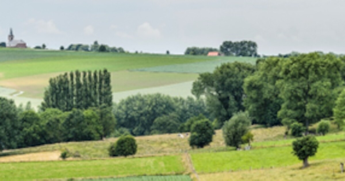 Samen naar een Landschapspark in de Vlaamse Ardennen | Zwalm | HLN.be