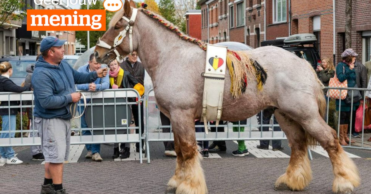 OPROEP. Wat vond u van de jaarmarkt van Schelle?