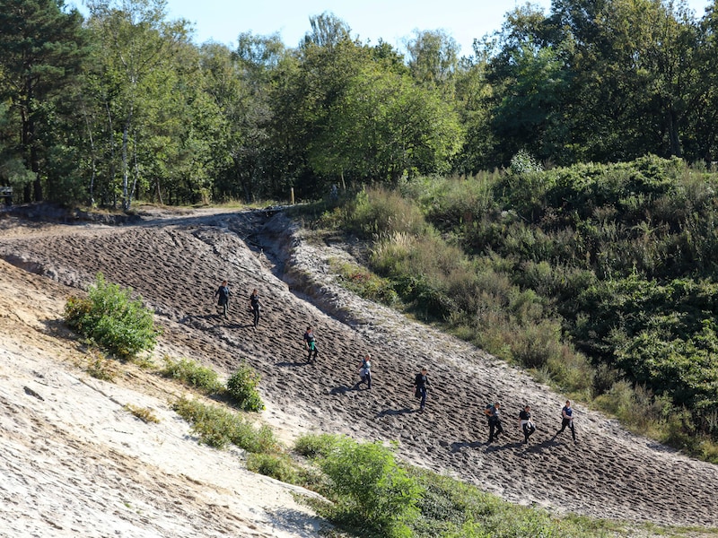 1.700 wandelaars en trailrunners zakken af naar De Teut: “Vanuit Groningen een stukje rijden, maar meer dan waard”