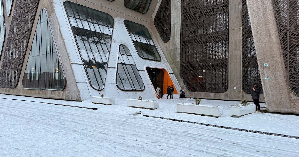 47-jarige vrouw betwist gecorrigeerde snelheid van 168 km/u op snelweg: “Dit profiel past niet bij m