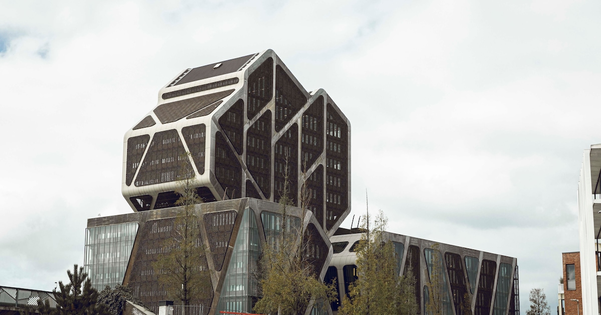 Zonhovenaar krijgt harde wake-upcall na herhaaldelijk rijden onder invloed: “Nog een jaar dan?!”