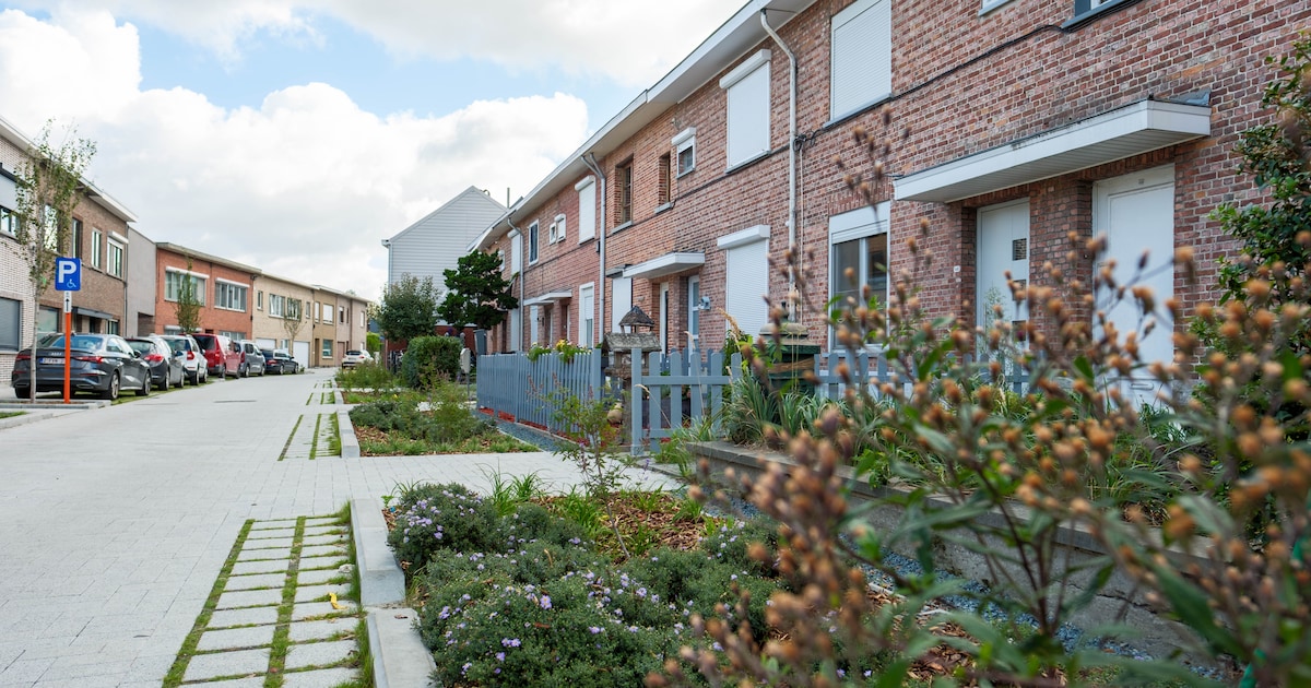 Stad breidt netheidsteam uit met vijftien medewerkers: “Belangrijk ons groen goed te onderhouden”