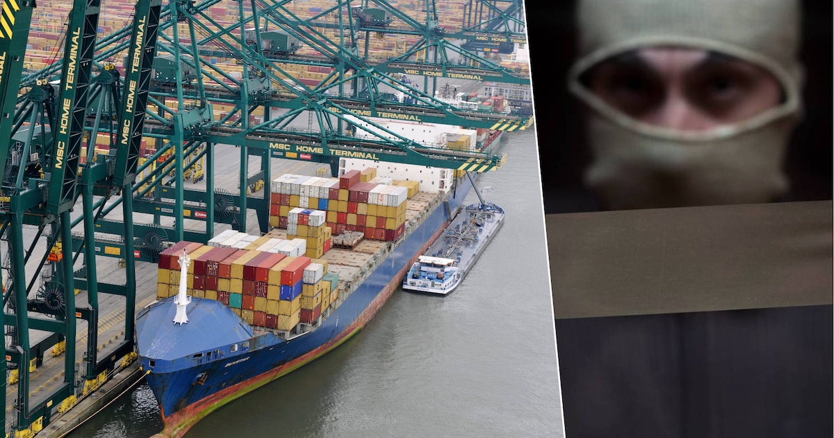 Dagenlang geboeid, met zijn voeten in het water: ‘containerplanner’ in Antwerpse haven weigert drugs