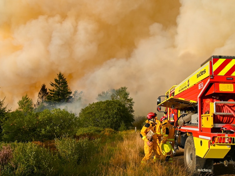 Brandweermannen werken stug door om zoveel mogelijk natuurgebied te redden. 