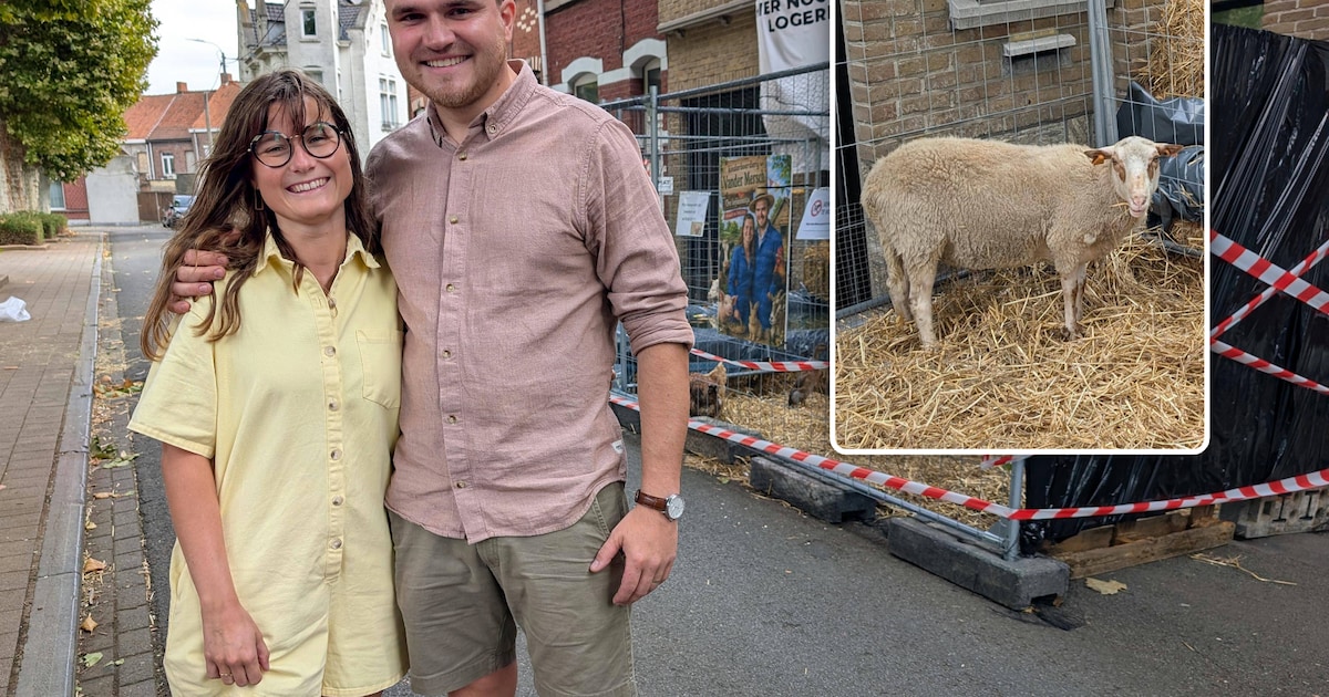 Pasgehuwden Ruben en Fien komen thuis en treffen complete kinderboerderij aan: “Hun cadeau krijgen z