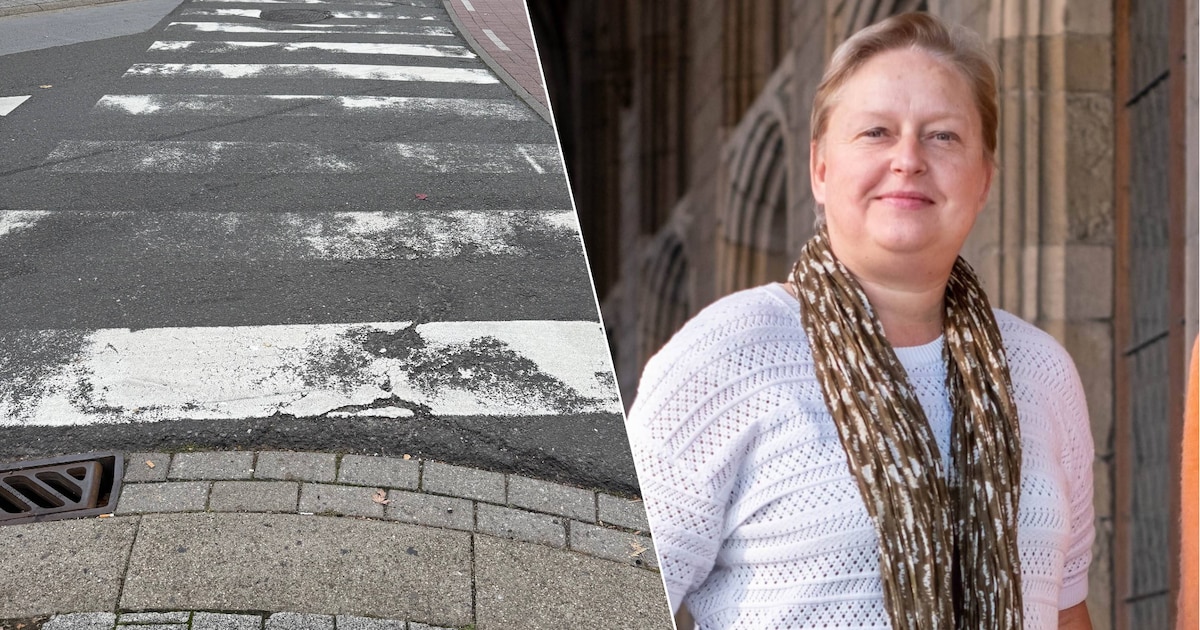 “Markeringen onduidelijk en soms bijna verdwenen”: gemeenteraadslid vraagt om beter onderhoud wegsig