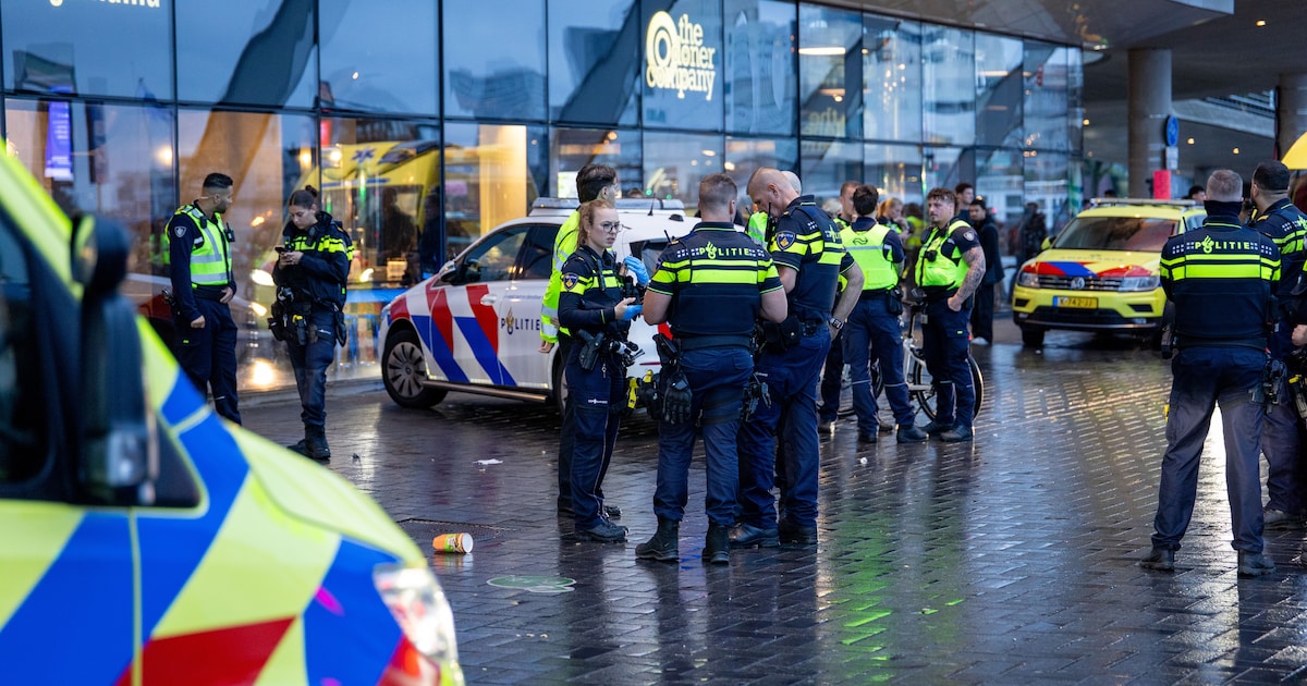 Steekincident aan Amsterdam Centraal werd gelivestreamd op TikTok: drie gewonden naar ziekenhuis, on