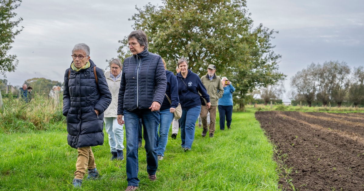 WSV Schelle organiseert Wintertocht