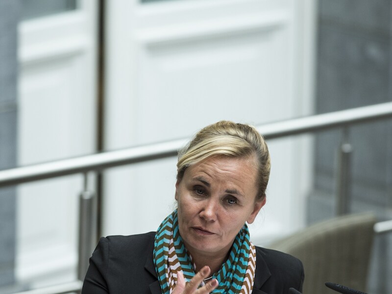 Liesbeth Homans (N-VA).