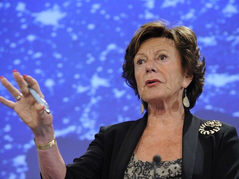 Neelie Kroes.