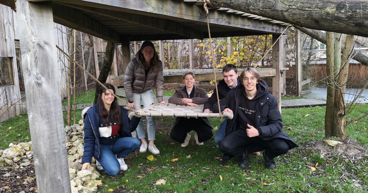 Studenten recycleren brandweerslangen tot hangmatten voor dieren: “Ze stimuleren hun natuurlijk gedr