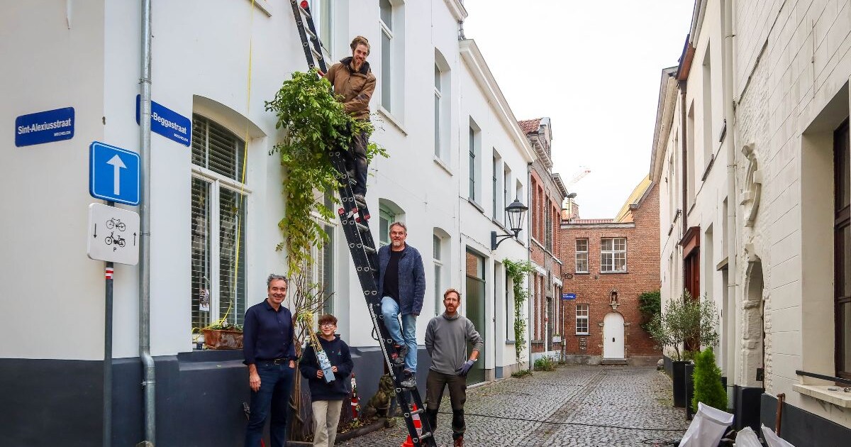 Eerste groenslinger is voor Sint-Beggastraat: “Tien andere volgen, en ...
